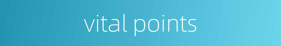 vital points的同义词