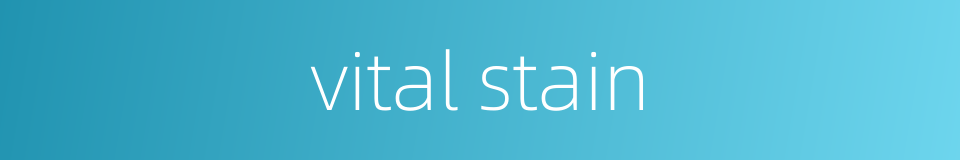 vital stain的同义词