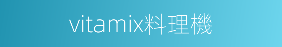 vitamix料理機的同義詞