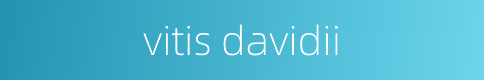 vitis davidii的同义词