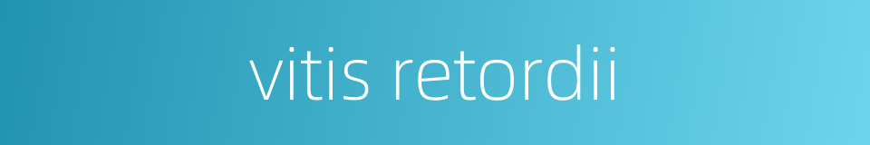 vitis retordii的同义词