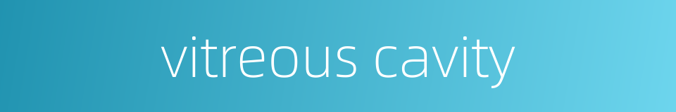vitreous cavity的同义词