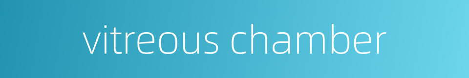 vitreous chamber的同义词