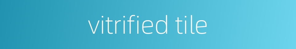 vitrified tile的同义词