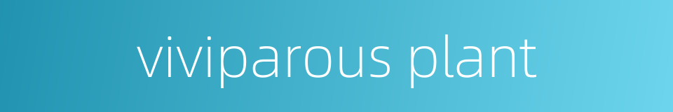viviparous plant的同义词