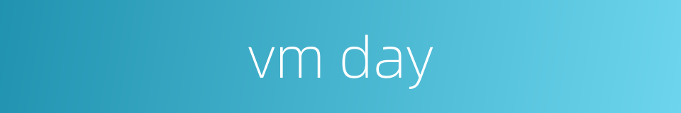 vm day的同义词
