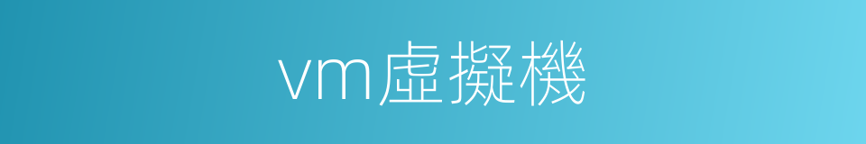 vm虛擬機的同義詞