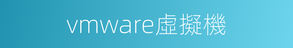 vmware虛擬機的同義詞