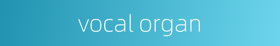 vocal organ的同义词