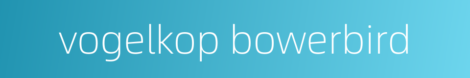 vogelkop bowerbird的同义词