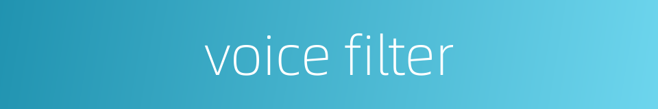 voice filter的同义词