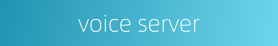 voice server的同义词