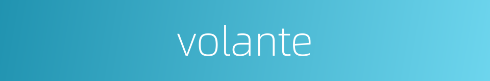 volante的同义词