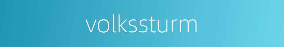 volkssturm的同义词