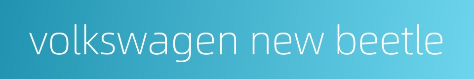 volkswagen new beetle的同义词