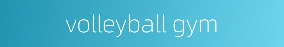 volleyball gym的同义词