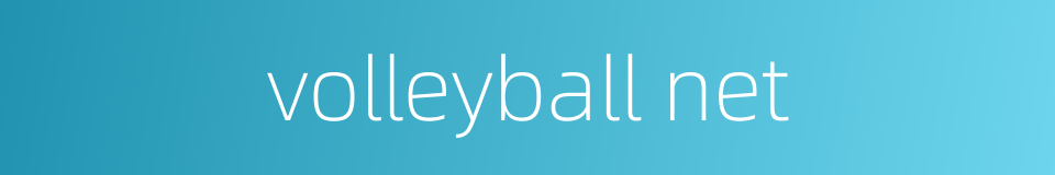 volleyball net的同义词