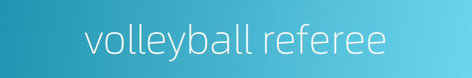 volleyball referee的同义词