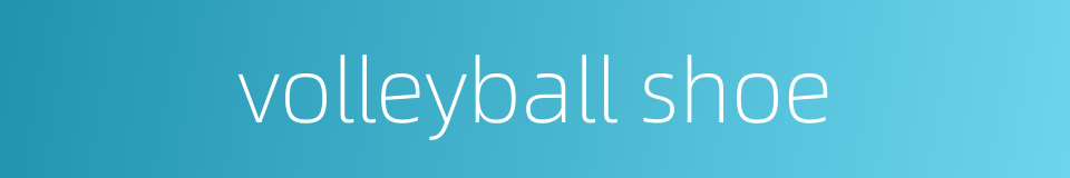 volleyball shoe的同义词