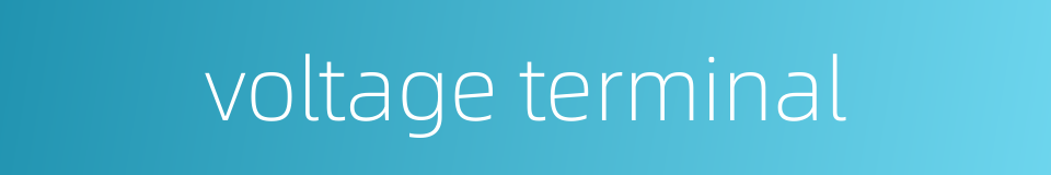 voltage terminal的同义词