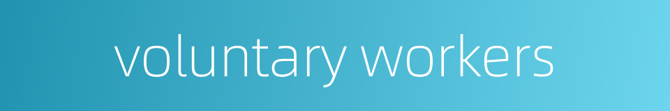 voluntary workers的同义词