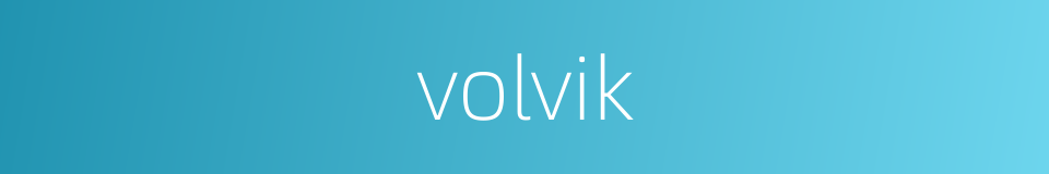 volvik的同义词