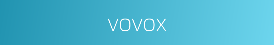 vovox的同义词