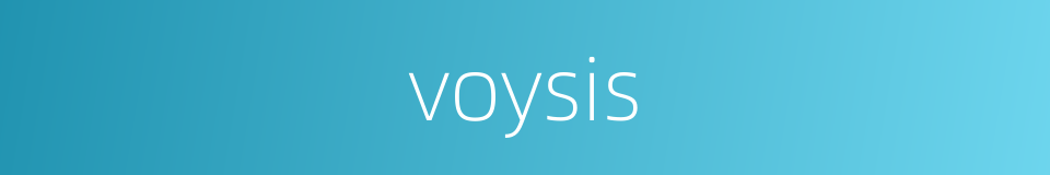 voysis的同义词