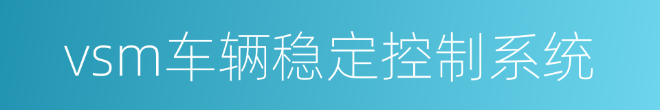 vsm车辆稳定控制系统的同义词