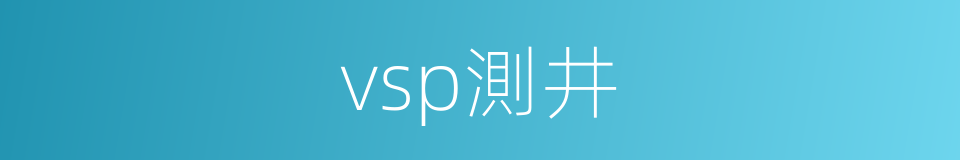 vsp測井的同義詞