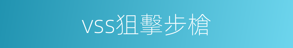 vss狙擊步槍的同義詞