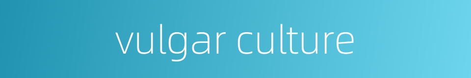 vulgar culture的同义词