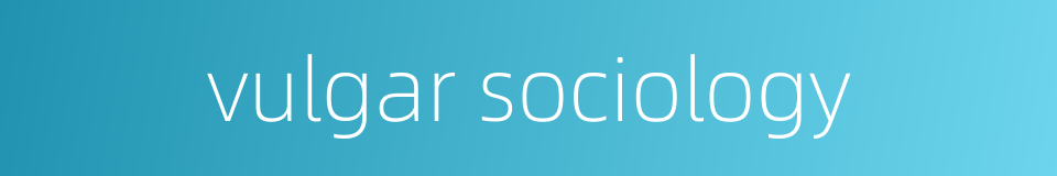 vulgar sociology的同义词