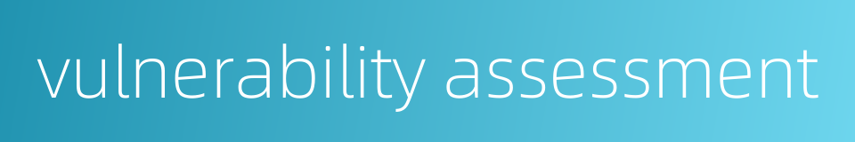 vulnerability assessment的同义词