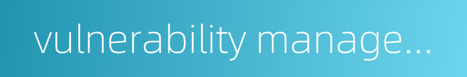 vulnerability management的同义词