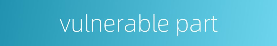 vulnerable part的同义词