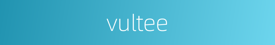 vultee的同义词