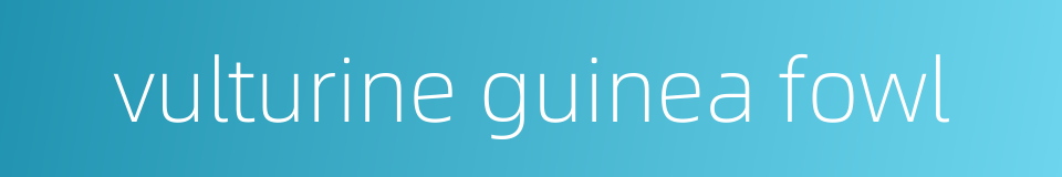 vulturine guinea fowl的同义词