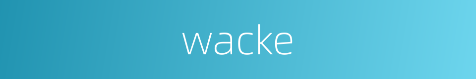 wacke的同义词