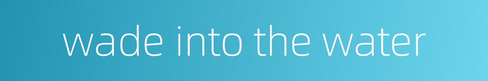 wade into the water的同义词