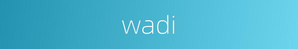 wadi的同义词