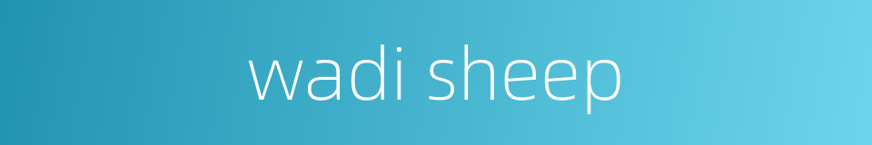 wadi sheep的同义词