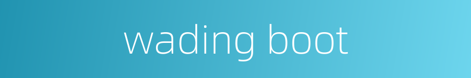 wading boot的同义词