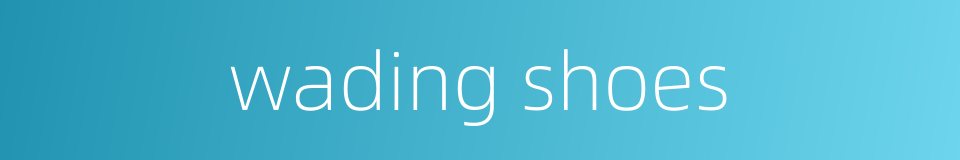 wading shoes的同义词