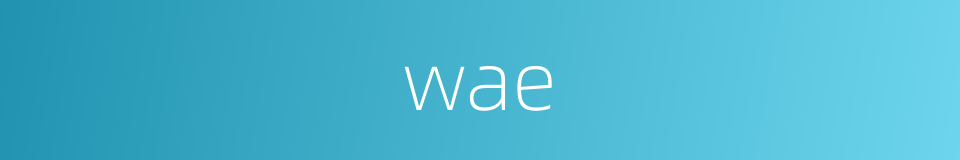wae的同义词