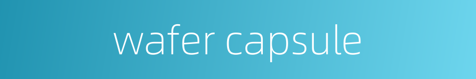 wafer capsule的同义词