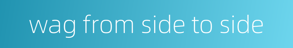 wag from side to side的同义词