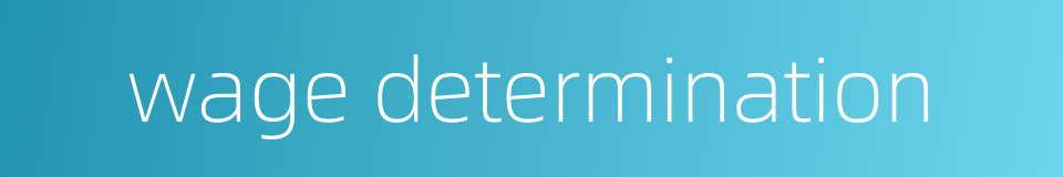 wage determination的同义词