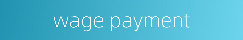 wage payment的同义词