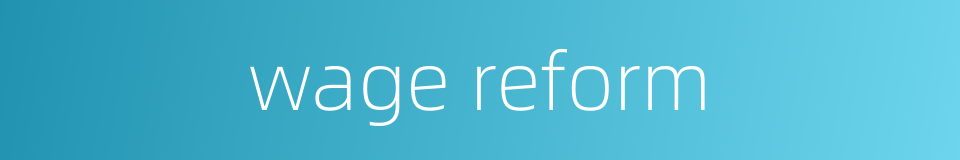 wage reform的同义词